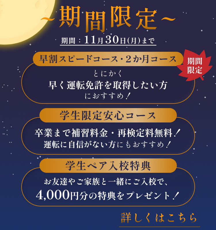 期間限定 11月30日まで